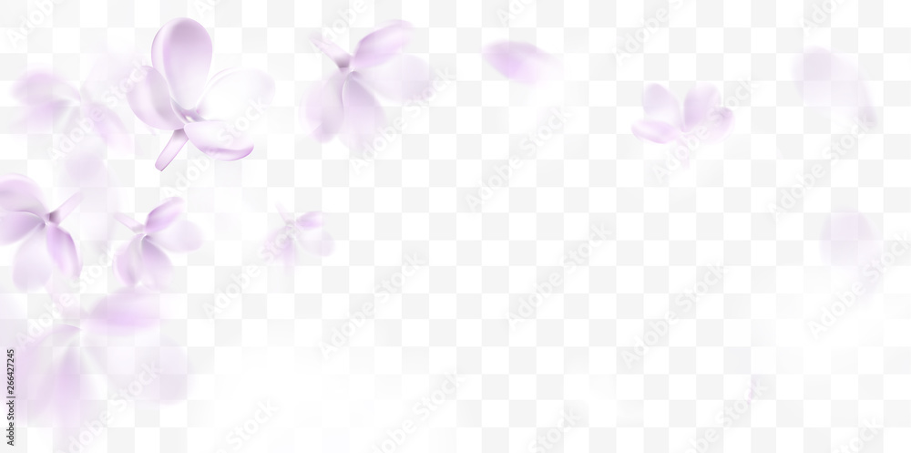 Floral spring background with purple lilac flowers - obrazy, fototapety, plakaty 