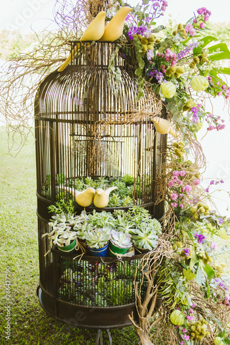 Wedding Decoration With Bird Cage And Succulent Plants Buy This