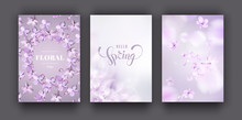 Floral Spring Background With Purple Lilac Flowers