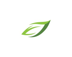 Green leaf logo