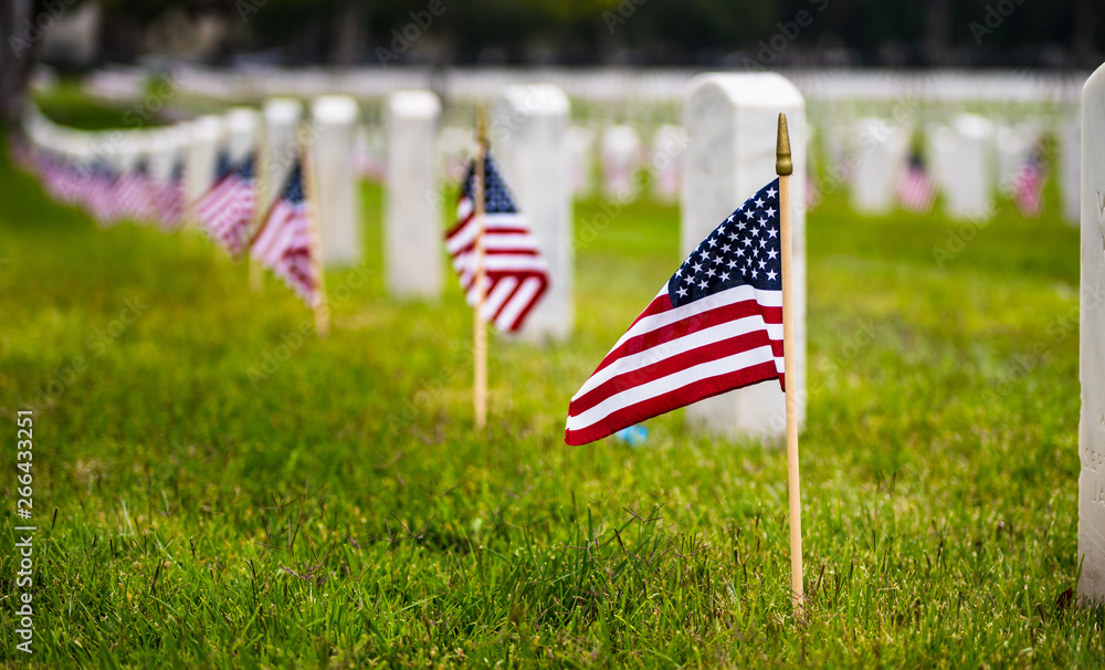 Small American flags and headstones at National cemetary- Memorial Day display - obrazy, fototapety, plakaty 