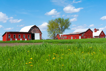 Farm in open grass field