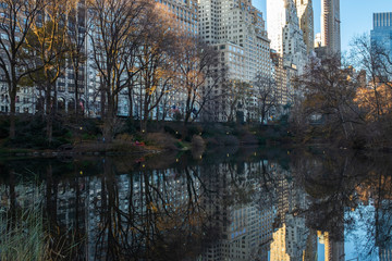 Poster - reflection of Central Park 