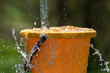 © Janis Smits - Pouring water and plastic bucket.