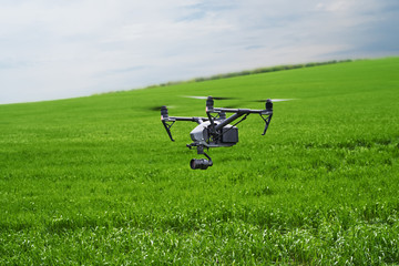 Quadcopter with camera flying over field. Photography quadcopter drone hovering over young green sprouts of wheat plants in a field. Smart agriculture concept.