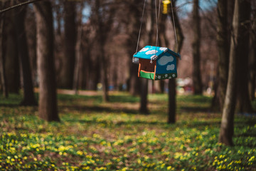 Wall Mural - Closeup photo of bird feeder in park or forest in sun light captured by early spring.