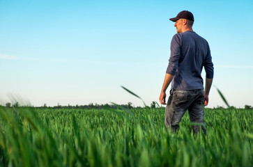 Handsome farmer. Young man walking in green field. Spring agriculture