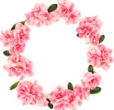 Fototapeta Tulipany - Pink flowers azalea pattern Wreath frame isolated on white background. Top view. Copy space. Holiday concept