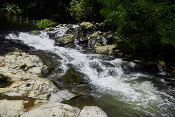 Wall Mural - Small waterfall in a forest in Bali, Indonesia with a mini waterfall.