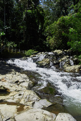 Wall Mural - Small waterfall in a forest in Bali, Indonesia with a mini waterfall.