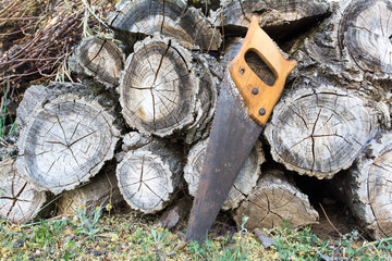 Old handsaw resting on a pile of wooden lumber