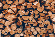 Picture Of Logs Stacked On Pile.