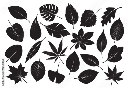 Fotografía Collection of black Leaves. Vector Illustration.