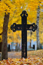 An Old Memorial On An Ancient Graveyard With Beautiful Yellow Maple Trees In Autumn