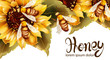 Bees making honey from sunflower Vector watercolor. Label template. Summer banner posters