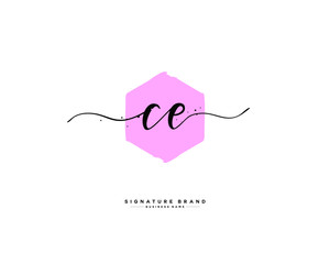 C E CE initial logo handwriting  template vector