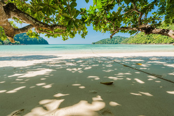 Beautiful the exotic beach with tree branch for relaxation located Surin island, Thailand