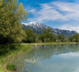 Canvas Print - springtime landscape with snowcapped mountains and pond in green forest