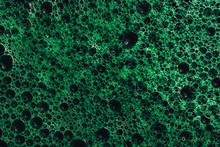 Beautiful Green Bubbles Background . Macro View.