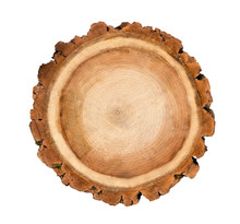 Smooth Wood Slice Cut From The Woods. Neutral Brown Sustainable Tree Rings Made Of Hardwood.