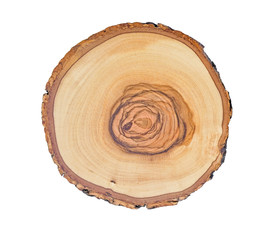 Wall Mural - smooth wood slice cut from the woods. neutral brown sustainable tree rings made of hardwood.