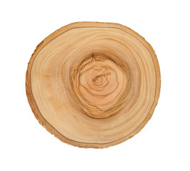 Wall Mural - smooth wood slice cut from the woods. neutral brown sustainable tree rings made of hardwood.