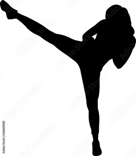 Εκτύπωση καμβά Boxing Women 1 isolated vector silhouette