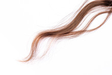 Curly Light Brown Hair - White Background