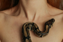 Woman With Snake, Closeup