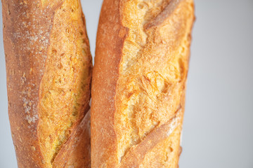 Two traditional French  baguettes,  isolated on grey background.