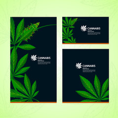 Green cannabis leaf Background vector illustration.