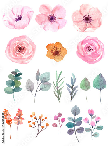 watercolor flowers. floral illustration, Leaf, Botanic composition for weddin...
