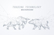 Wire frame bearish and bullish trend, technology trading for stock market