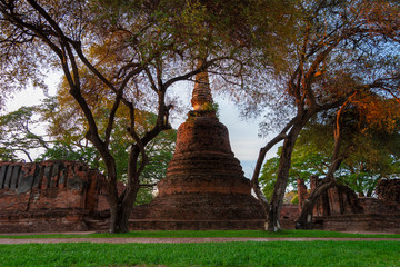 Wall Mural - Temple in Ayutthaya Province