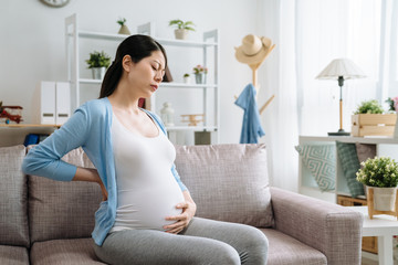 Wall Mural - Healthcare treatment. young attractive pregnant woman on her second trimester sitting indoor on couch sofa touching aching back suffering from back pain. hurting waist sick discomfort mom at home.