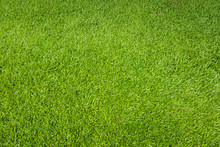 Green Grass Background And Textured, Top View And Detail Of Turf Floor At Soccer Field.