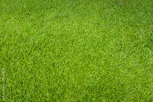 Cuadros en Lienzo Green grass background and textured, Top view and detail of turf floor at soccer field