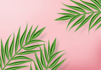 Wall Mural - Tropic palm leaves Vector realistic background. Exotic summer card. Green fresh decors