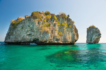 Wall Mural - Rocky tropical island in blue sea