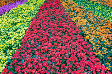 Wall Mural - Patterned vertical landscaping in the park.