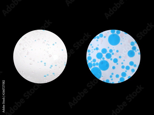 顕微鏡で見る菌 比較 Stock Photo Adobe Stock 顕微鏡で見る菌 比較 Stock Photo Adobe Stock