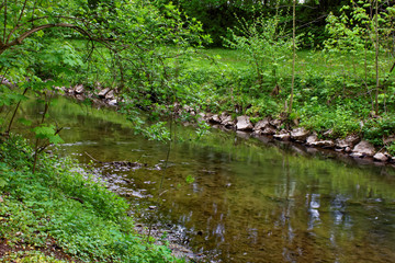 beautiful colors of nature in the spring Park