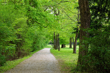 beautiful colors of nature in the spring Park