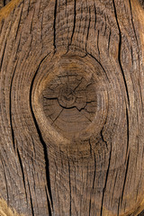 high detailed background texture of the board from olive pine oak birch fir tree, large wooden one two three rings, beautiful wood grain, abstract, brown white black dark yellow