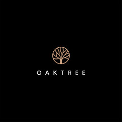 oak tree vector logo design