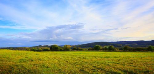summer landscape with trees and clouds sky .