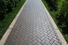 Paving Slabs In The Green Garden. Texture Of Road Tiles With Herringbone Pattern. Perspective View