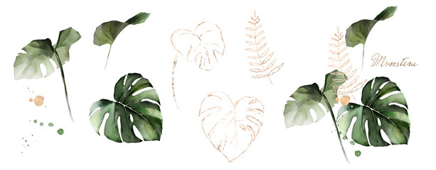 watercolor and gold leaves monstera. herbal illustration. botanic tropic composition. exotic modern 