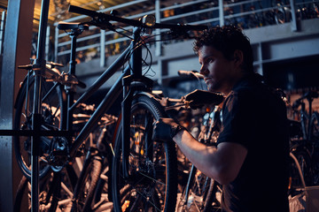 Wall Mural - Diligent attractive mechanic is repairing customer's bicycle at workplace.