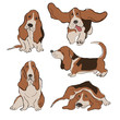 Collection Of Basset Hound Dog Icons.